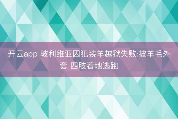 开云app 玻利维亚囚犯装羊越狱失败:披羊毛外套 四肢着地逃跑