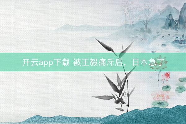 开云app下载 被王毅痛斥后,日本急了