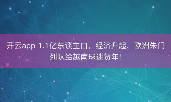 开云app 1.1亿东谈主口,经济升起,欧洲朱门列队给越南球迷贺年!