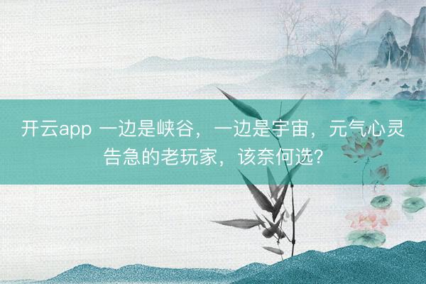 开云app 一边是峡谷,一边是宇宙,元气心灵告急的老玩家,该奈何选?