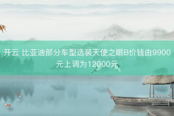 开云 比亚迪部分车型选装天使之眼B价钱由9900元上调为12000元