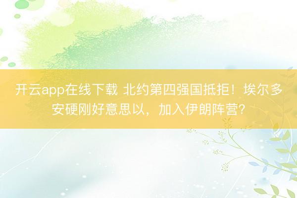开云app在线下载 北约第四强国抵拒！埃尔多安硬刚好意思以，加入伊朗阵营？