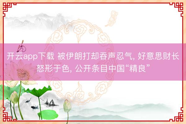 开云app下载 被伊朗打却吞声忍气, 好意思财长怒形于色, 公开条目中国“精良”