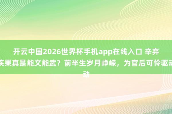 开云中国2026世界杯手机app在线入口 辛弃疾果真是能文能武?前半生岁月峥嵘,为官后可怜驱动