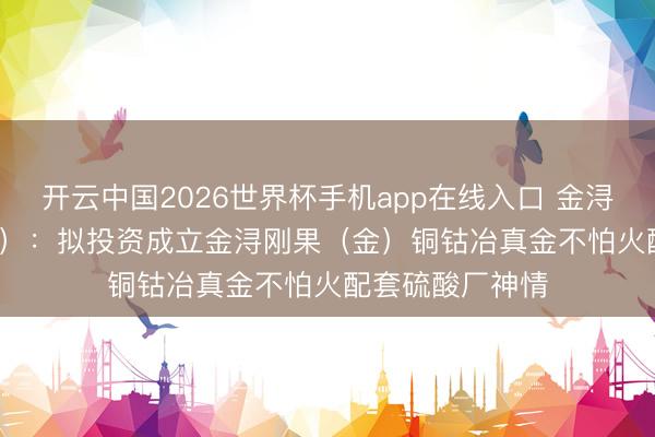 开云中国2026世界杯手机app在线入口 金浔资源(870844):拟投资成立金浔刚果(金)铜钴冶真金不怕火配套硫酸厂神情