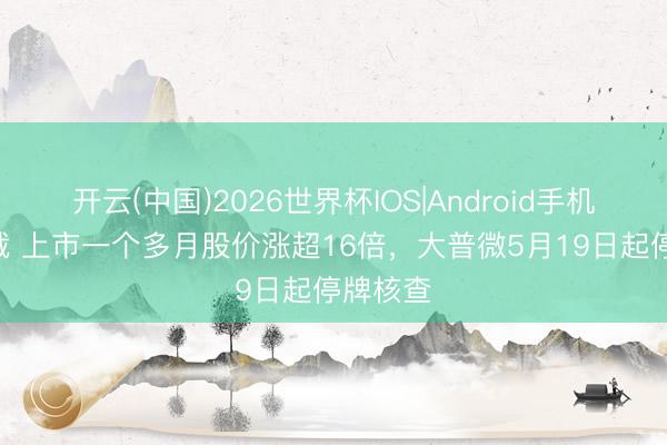 开云(中国)2026世界杯IOS|Android手机app下载 上市一个多月股价涨超16倍,大普微5月19日起停牌核查