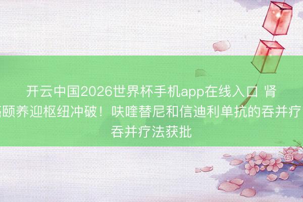 开云中国2026世界杯手机app在线入口 肾细胞癌颐养迎枢纽冲破!呋喹替尼和信迪利单抗的吞并疗法获批