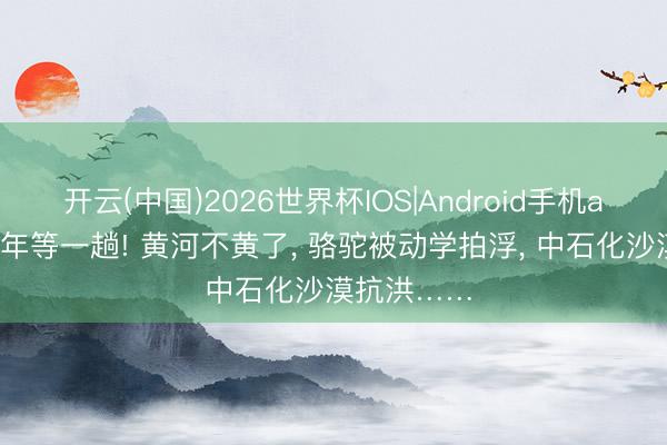 开云(中国)2026世界杯IOS|Android手机app下载 千年等一趟! 黄河不黄了, 骆驼被动学拍浮, 中石化沙漠抗洪……