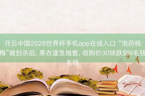 开云中国2026世界杯手机app在线入口 “泡药杨梅”被封杀后, 果农遑急抛售, 收购价30块跌到8毛钱