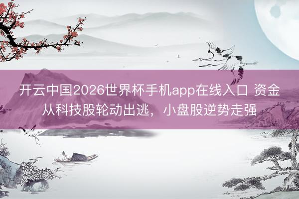 开云中国2026世界杯手机app在线入口 资金从科技股轮动出逃，小盘股逆势走强