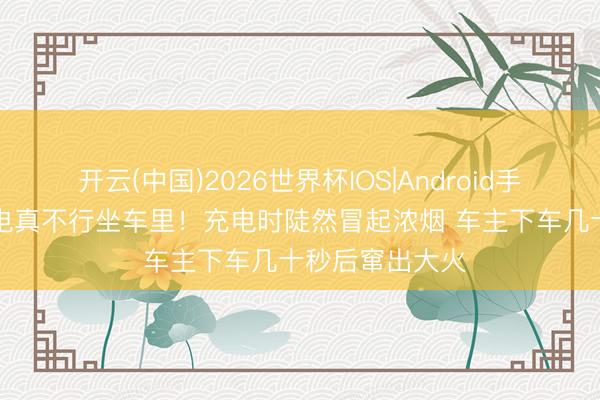 开云(中国)2026世界杯IOS|Android手机app下载 充电真不行坐车里!充电时陡然冒起浓烟 车主下车几十秒后窜出大火