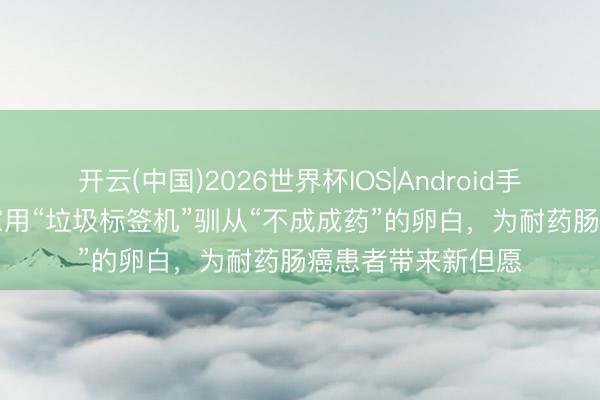 开云(中国)2026世界杯IOS|Android手机app下载 科学家用“垃圾标签机”驯从“不成成药”的卵白,为耐药肠癌患者带来新但愿