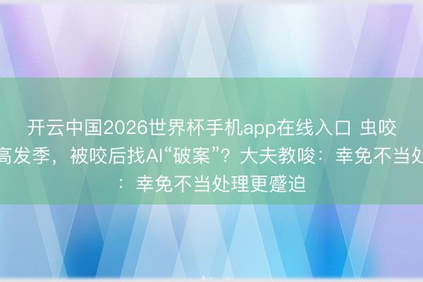 开云中国2026世界杯手机app在线入口 虫咬皮炎迎来高发季,被咬后找AI“破案”?大夫教唆:幸免不当处理更蹙迫
