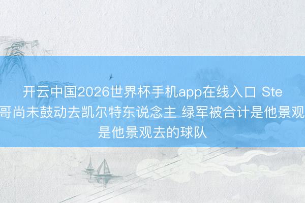 开云中国2026世界杯手机app在线入口 Stein：字母哥尚未鼓动去凯尔特东说念主 绿军被合计是他景观去的球队